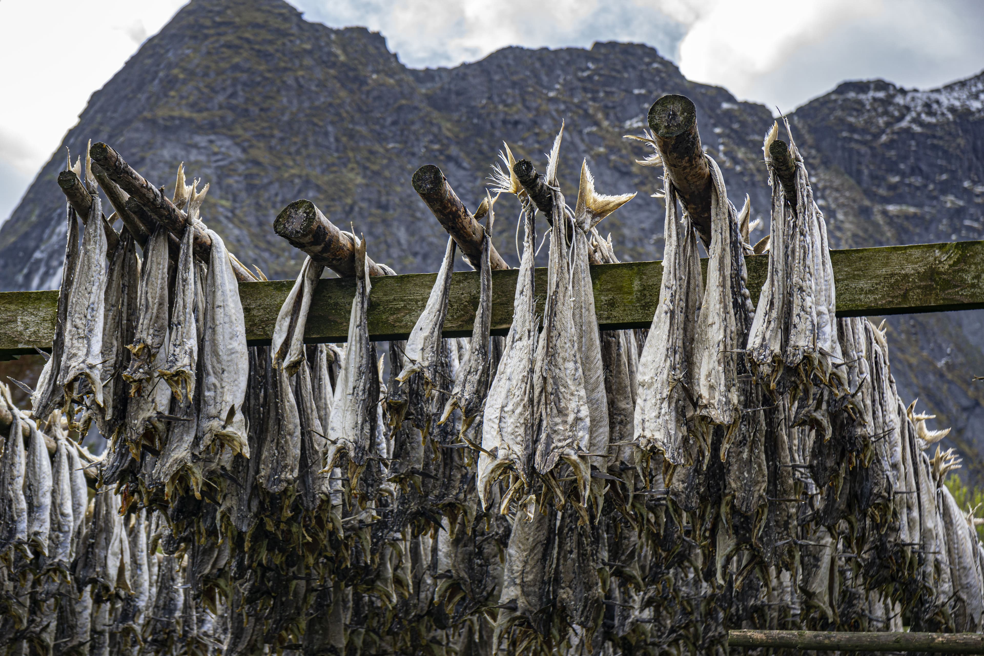 Stokkfisk — hva er det og hva brukes det til?