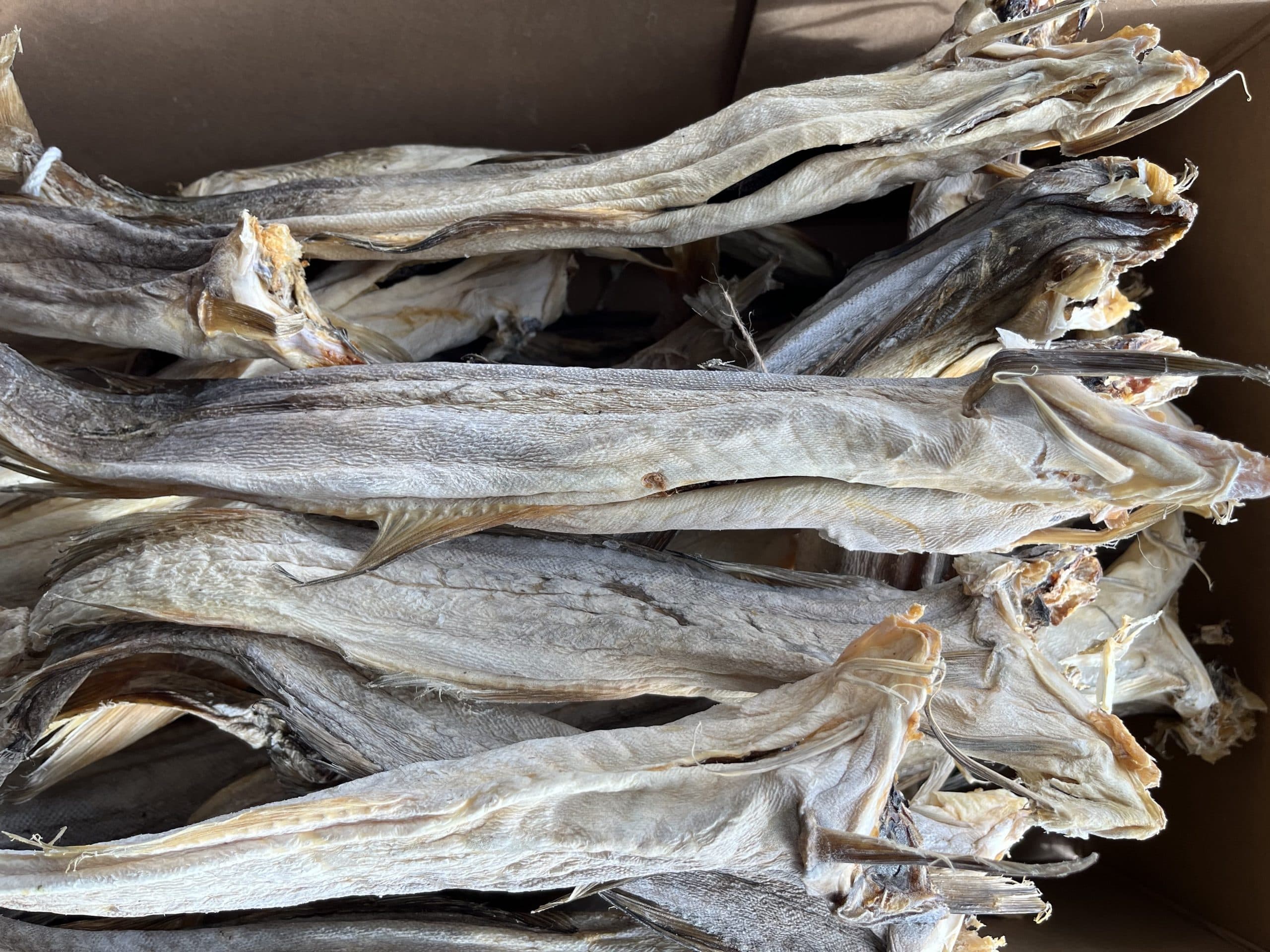 stockfish